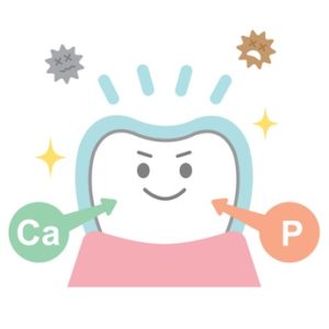 フッ素の作用
