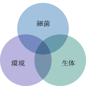歯周病の因子