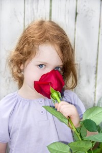 a little girl smelling a big red rose